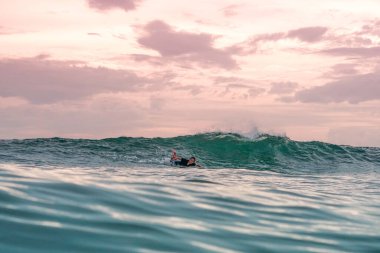 Genç sörfçü, Sri Lanka 'da gün batımında pembe ışıkla dalgalara doğru kürek çekiyor.