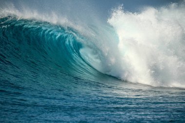 Beyaz dişleri olan yakışıklı bir adamın portresi gülümsüyor, mavi gözler, sörfçü ve mavi okyanus.