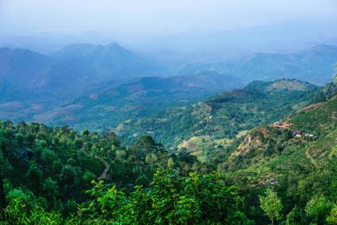 Beyaz dişleri olan yakışıklı bir adamın portresi gülümsüyor, mavi gözler, sörfçü ve mavi okyanus.