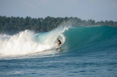 Surfer on perfect blue big tube wave, empty line up, perfect for surfing, clean water, Indian Ocean in Mentawai islands, spot EBay clipart