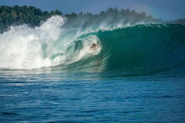 Ebay surf 2024