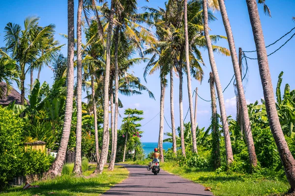 Mayo Giymiş Sörfçü Kız Okyanusa Doğru Motosiklet Sürüyor Güneşli Bir — Stok fotoğraf