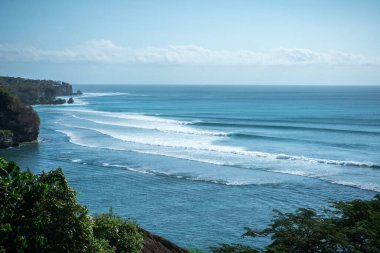 Taş, pembe çiçekli kaya duvar