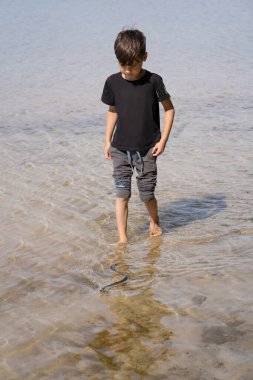 Küçük bir çocuk önünde yüzen bir yılanı yakalamak için sığ sularda yalınayak yürüyor. Bir çocuk suda yüzen bir yılanı izler..