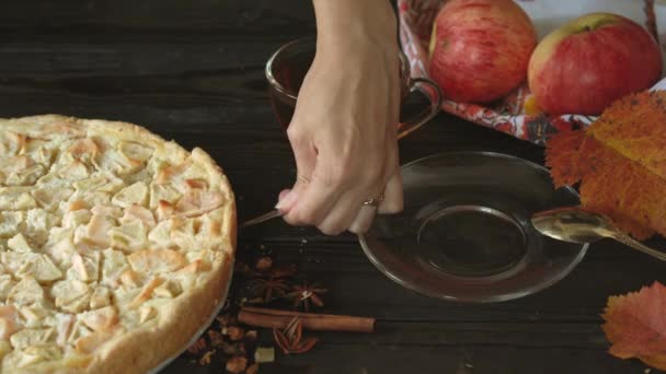 La femme prend un morceau de tarte aux pommes maison et le met dans une assiette. Nature morte sur le thème de l'automne, récolte de pommes et gâteaux faits maison sur une table en bois sombre. — Video