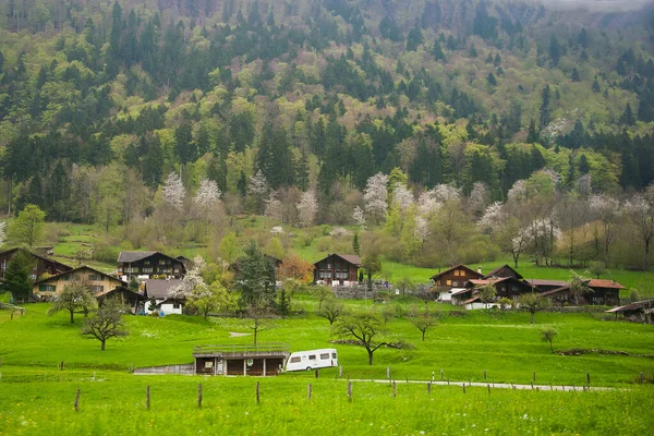 Vallei Van Wengen Zwitserland — Stockfoto