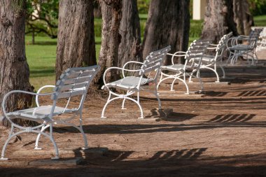 Arkadaki beyaz banklar akşam güneşinde gölgelerini gösteriyor.