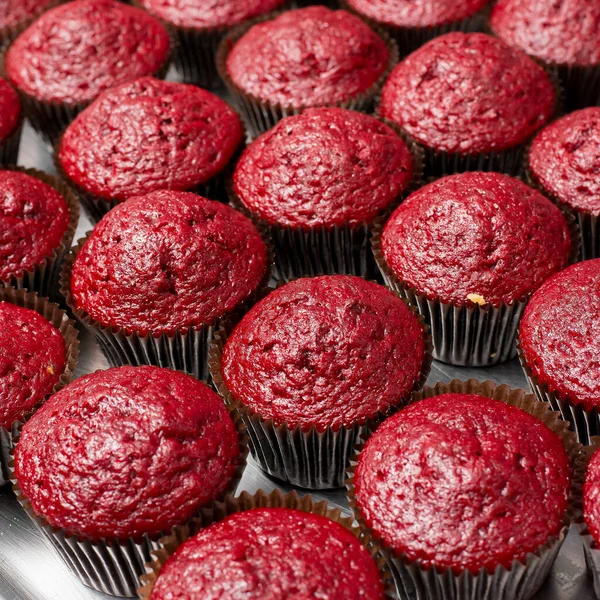 Rood Fluwelen Cupcakes Een Rij — Stockfoto