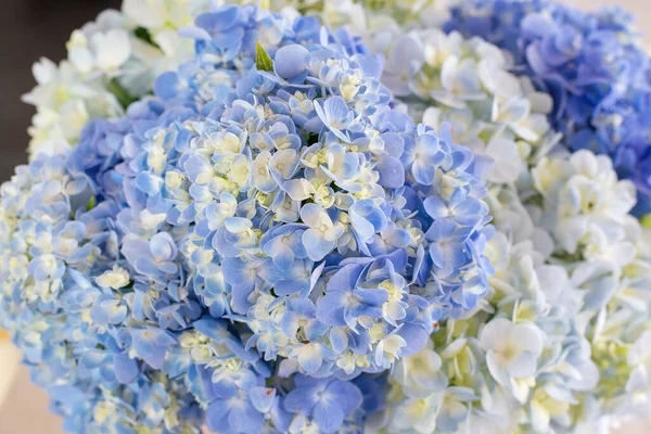 Bunch Pastel Flowers — Stock Photo, Image