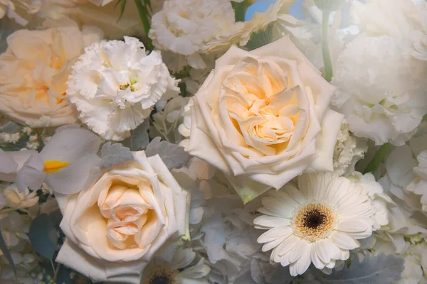 Букет Красивих Ніжних Пастельних Квітів — стокове фото