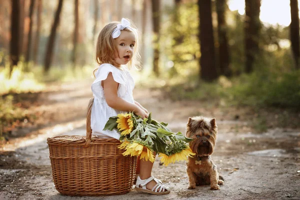 Bambina Cane Siedono Natura Con Mazzo Fiori — Foto Stock