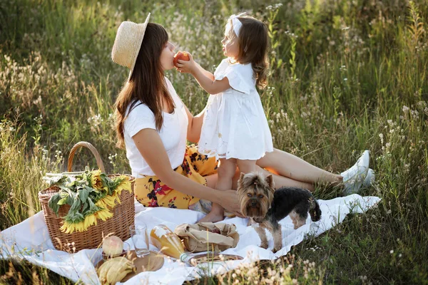 Lánya Gyümölcsöt Etet Anyjának Nyáron Egy Pikniken — Stock Fotó