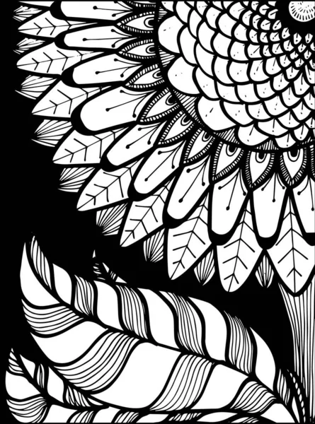 Sunflower Vector Images Search Images On Everypixel