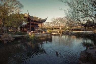 Sabahın erken saatlerinde Humble Administrator Garden 'daki (Zhuozheng Garden) bahçe. Zhuozheng Bahçesi, UNESCO Dünya Mirasları Alanındaki klasik bir bahçedir ve Suzhou bahçelerinin en ünlüsüdür..