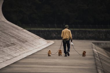 Yaşlı adam kıyı şeridinde üç köpeği asıyor.