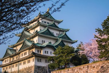 Sakura baharda Nagoya Kalesi 'nde çiçek açar. Nagoya Şatosu 1610 yılında Japonya' nın orta kesimindeki Nagoya 'da inşa edilmiştir..
