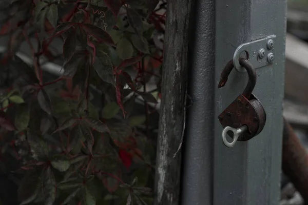 Verrouillage Clé Verrouillée Serrure Ouverte Dans Jardin Sur Porte Jardin — Photo