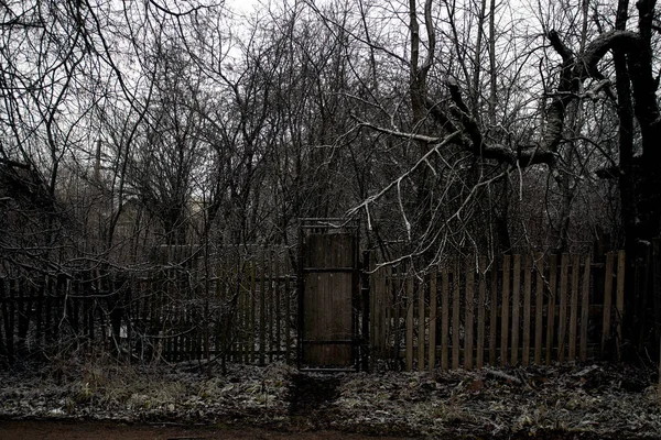 Entrée Une Vieille Maison Abandonnée Une Vieille Porte Dans Fourré — Photo