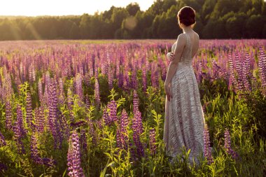Lupin tarlasında gece elbisesi giymiş bir kız. Bir gece elbisesine geri dön..