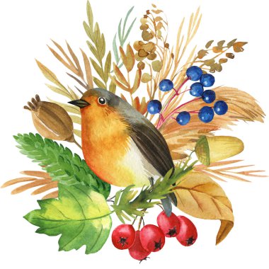 Robin Bird ve güz çiçekleri, kuru otlar, suluboya çizimler, boho illüstrasyon