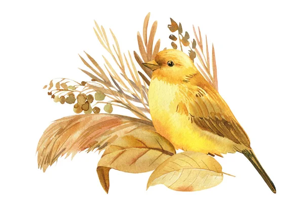 Oiseaux jaunes et fleurs d'automne, herbes sèches, dessin à l'aquarelle canari, illustration boho — Photo