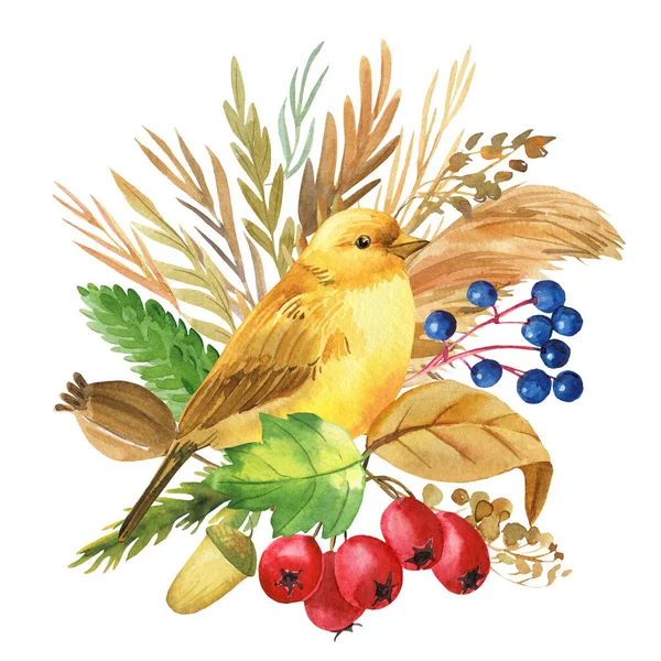 Sarı kuş ve sonbahar çiçekleri, kuru otlar, kanarya suluboya çizimi, boho illüstrasyon — Stok fotoğraf