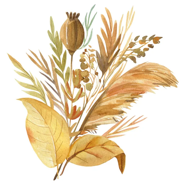 Kytice květin, suché bylinky, větve bobulí, akvarel ilustrace, botanická malba — Stock fotografie