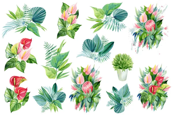 Τροπικά φυτά, φύλλα, λουλούδια ακουαρέλα boho εικονογράφηση, βοτανική ζωγραφική, μπουκέτο λουλούδια — Φωτογραφία Αρχείου