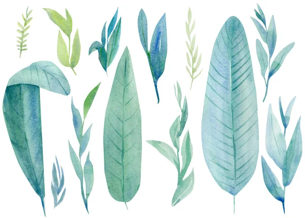 Set tropischer Blätter, Palmblatt auf isoliertem weißem Hintergrund, Boho-Aquarell, Handzeichnung — Stockfoto