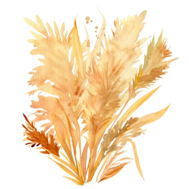  Pembe ve bej tropikal yapraklar, beyaz arka planda bir buket kuru bitki, suluboya resimli boho tarzı