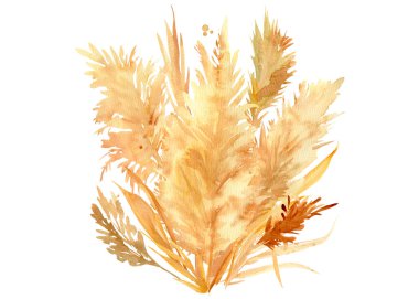  Pembe ve bej tropikal yapraklar, beyaz arka planda bir buket kuru bitki, suluboya resimli boho tarzı