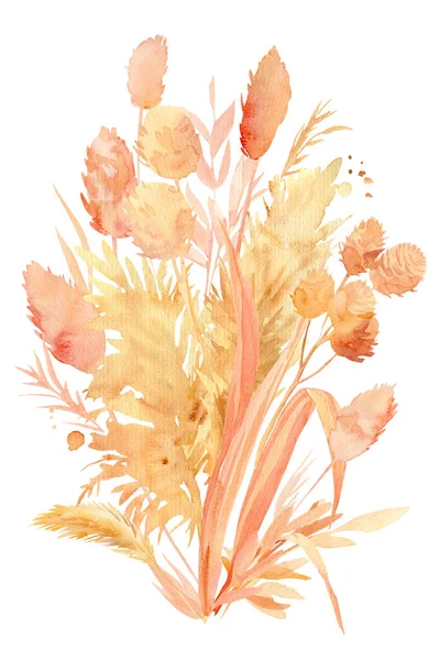 Hojas tropicales rosadas y beige, un ramo de plantas secas sobre un fondo blanco, ilustración de acuarela en estilo boho — Foto de Stock