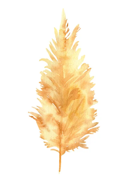 ベージュのハーブ、白い背景に乾燥植物の図面、 bohoスタイルの水彩画のイラスト — ストック写真