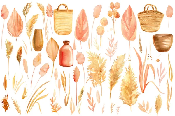 Vazen, manden, stro zakken, bladeren, planten in een mand op een witte achtergrond, aquarel illustratie — Stockfoto