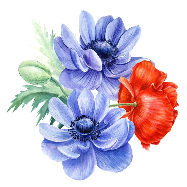 고립된 흰색 배경에는 꽃다발, 양귀비, 푸른 아네모네, 수채화, 식물 의설 계 — 스톡 사진
