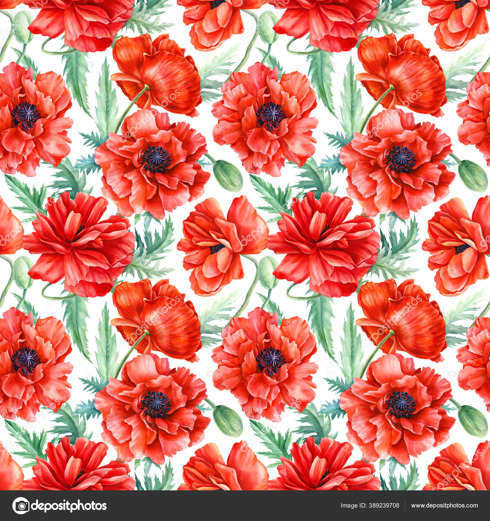 Papoulas, anêmonas, flor de milho, flor de sino azul, padrões sem costura,  desenho à mão aquarela, flores coloridas Ilustração de ©gringoann #389239708, image size:1600x1700