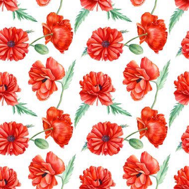 dikişsiz suluboya desenler, beyaz arka planda çiçek deseni, el çizimi, renkli gelincikler.