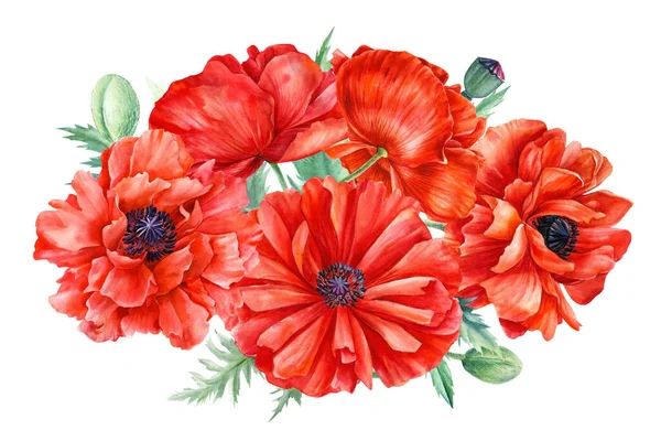 Bouquet di fiori, papaveri rossi su sfondo bianco, disegno a mano, disegno ad acquerello — Foto Stock