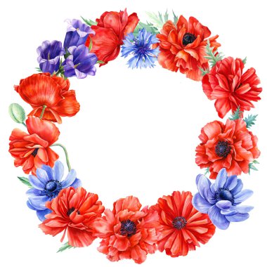 Çiçek çelengi, anemon, haşhaş, çiçek çiçeği, izole edilmiş beyaz arka planda mavi çan, suluboya flora tasarımı