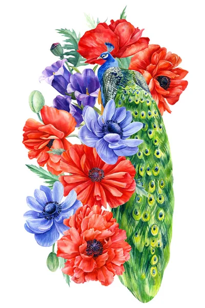 Sada květin a ptáků, mák, sasanky, pávi na izolovaném bílém pozadí, ruční kresba, akvarel — Stock fotografie