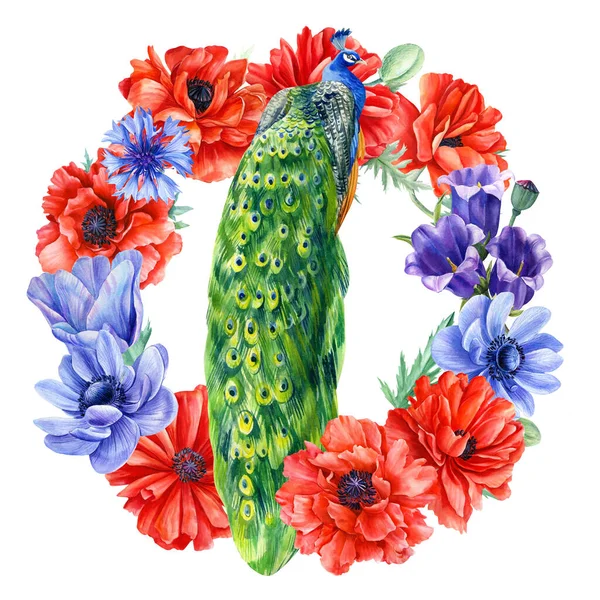 Věnec, z květin a ptáků, mák, sasanky, pávi na izolovaném bílém pozadí, ruční kresba, akvarel — Stock fotografie