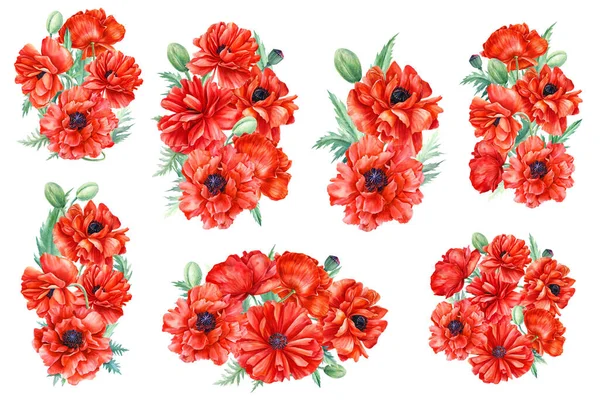 Conjunto de composiciones, flores, ramo de flores, amapolas rojas sobre un fondo blanco, ilustración de acuarela —  Fotos de Stock