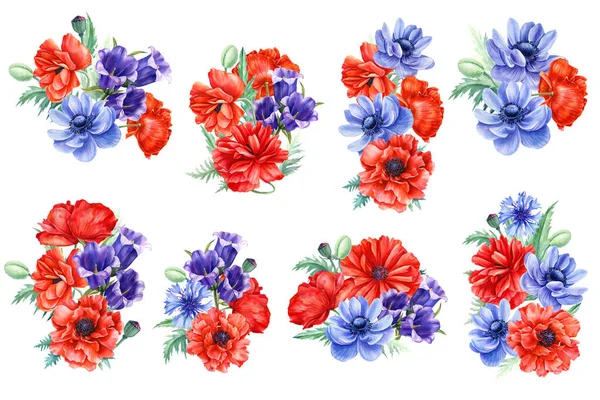 Conjunto de composiciones, flores. Ramo de anémona, amapola, aciano sobre fondo blanco, acuarela ilustración —  Fotos de Stock