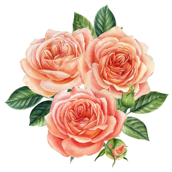 Watercolor pink rose isolated on white background. Adornment for wedding invitations and greeting cards. — Stock Photo, Image