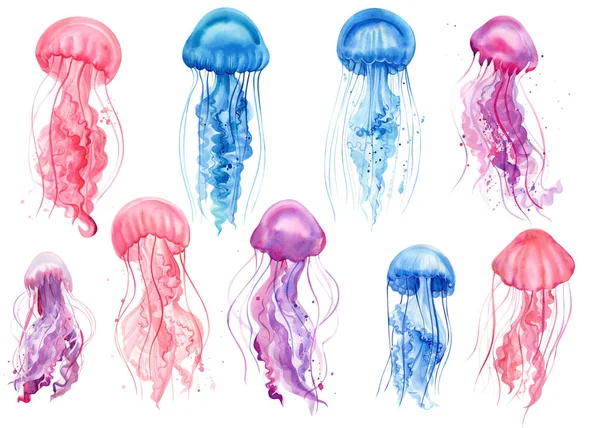 Conjunto de medusas. Medusas azuis, violetas, cor-de-rosa num fundo branco. Ilustração aquarela — Fotografia de Stock