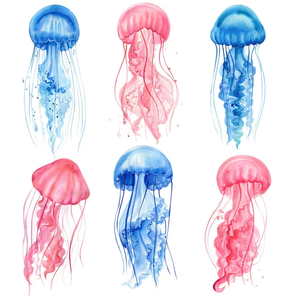 Lindas medusas. Conjunto de desenhos em água-viva sobre um fundo branco isolado. Ilustração aquarela — Fotografia de Stock