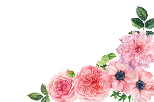 Akvarel jemné květiny sasanky, dahlia, růže. Pozdrav přání, dovolená pozvánka na bílém pozadí. — Stock fotografie