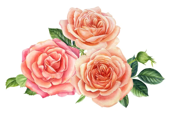Bouquet de fleurs de roses sur fond blanc. Aquarelle fleurs roses — Photo