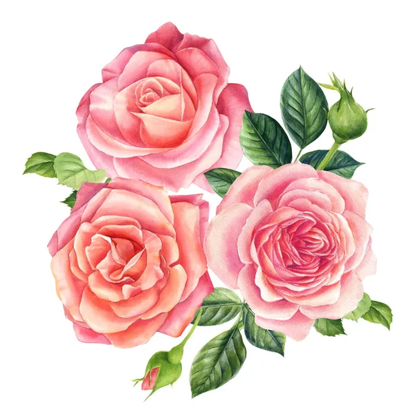 Bouquet di fiori rose rosa, fondo bianco isolato. Acquerello fiori delicati — Foto Stock