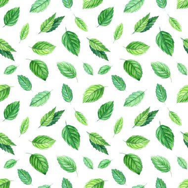 Nane yaprakları, suluboya resimler, izole edilmiş beyaz bir zemin, pürüzsüz desenler, dijital kağıt.